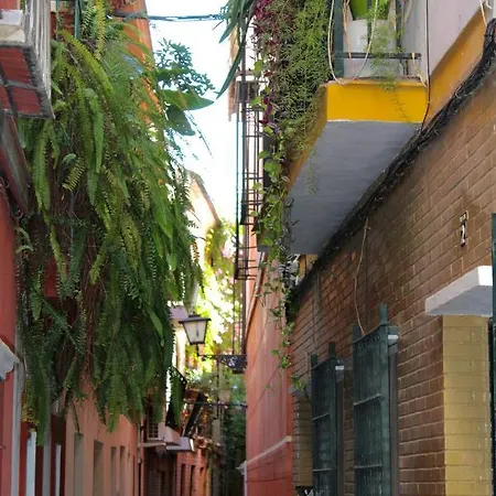 Green Street Seville Exterior photo